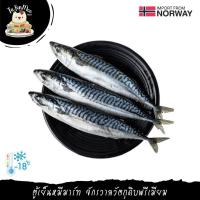 ราคา 1.5KG/PACK ปลาซาบะแอตแลนติกนอร์เวย์ 3 ตัว ATLANTIC SABA (MACKEREL) 3 PCS (9368736890)