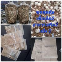 ราคา เชื้อเห็ดฟาง 2 ชุด เชื้อเห็ด2ก้อน+อาหารเสริม2ถุง+แป้ง2ถุงพร้อมปลูก (43523339794)