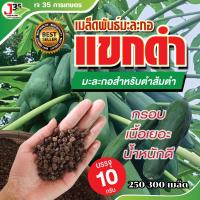 ราคา เมล็ดพันธุ์มะละกอแขกดำ 10 กรัม มะละกอสำหรับตำส้มตำ มะละกอกรอบอร่อย มะละกอเนื้อเยอะ เมล็ดมะละกอพันธุ์แขกดำ ผลใหญ่ ผลยาว (19891691347)