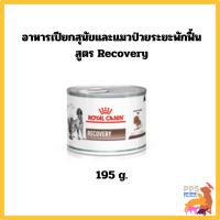 ราคา Royal Canin RECOVERY สุนัขและแมวป่วยระยะพักฟื้น ขนาดกระป๋อง 195 กรัม (27405278368)