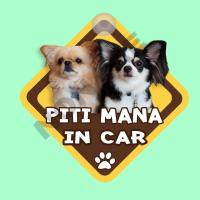 ราคา ป้ายติดรถยนต์ B สั่งทำ จุ๊บติดกระจก ติดรถ " DOG IN CAR " ป้ายติดกระจก ป้าย สติ๊กเกอร์ จุ๊บ ติดกระจก สติ๊กเกอร์ติดรถ (6312855009)