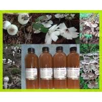 ราคา เชื้อเห็ดโคนปลวกสูตรเข้มข้น ปลวกชอบ เห็ดออกง่ายถ้าเชื้อติดในรังปลวก เห็ดโคนจะออกมาทุกปี (8540716617)