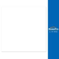 ราคา DURAGRES กระเบื้องพื้น 8x8 นิ้ว เทรซี่ ขาว A (23632409688)