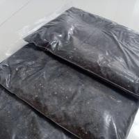 ราคา ดินพร้อมปลูกสำหรับแคคตัสและไลทอป (7144493849)