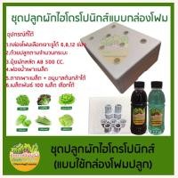 ราคา ชุดกล่องโฟมปลูกผักไฮโดรโปนิกส์ ปลูกผักไร้ดิน 6 ช่อง 8 ช่อง 12 ช่อง (ชุดคุณภาพ) (20243863256)