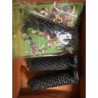 ราคา ตะกรุดคาดเอว หลวงพ่อปุ่น ธัมมปาโล ศิษย์เอกหลวงปู่ผาง ตะกรุดถักเชือกลงลัก เนื้อทองแดงเถื่อน ขนาด 2.5 นิ้ว (18292932998)