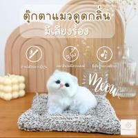 ราคา ส่งเร็ว!!!! ตุ๊กตาแมวดับกลิ่น ตุ๊กตาแมวดูดกลิ่น แมวดับกลิ่น หมาดูดกลิ่น ตุ๊กตาดับกลิ่น ตุ๊กตาดูดกลิ่นในรถ น่ารักม๊ากๆ (12499603782)