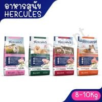 ราคา ( 8-10 Kg ) Hercules เฮอร์คิวลิส อาหารสุนัข ชนิดเม็ด มีสูตร พันธุ์เล็ก บำรุผิวหนัง บำรุงข้อ ลูกสุนัข ขนาด 8Kg - 10Kg (41561876306)