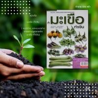 ราคา หนังสือ มะเขือ ทำเงิน ( แนวทาง...และแบบอย่างการเพาะปลูกสารพัด มะเขือ ทำเงิน) : รวบรวมเทคนิคการผลิต ตลอดจนแนวคิดแบบมืออาช (20730296529)