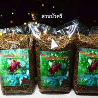 ราคา เมล็ดกระเจี๊ยบแดง 1 กก.พันธุ์ซูดาน (4927864970)