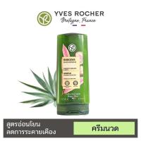 ราคา EXP 18/10/2026 ครีมนวดผม Yves Rocher Gentle With Organic Chestnut Milk Gentle Conditioner 200 ml อีฟโรเช่ [ H-9 ] (27423184945)