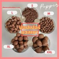 ราคา ป็อปเปอร์มวลเบา popper ผสมดินปลูก โรยหน้ากระถาง POPPERมวลเบา (8859857146)
