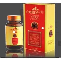 ราคา Cordy Plus คอดี้ พลัส ถั่งเช่าสกัด อ.วิโรจน์ บรรจุ30แคปซูล พร้อมส่ง!! (5234036840)