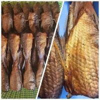 ราคา ปลาสร้อย ย่างรมควัน ไม้ละ40บาท ปลาจากแม่น้ำป่าสัก (ไชด์ใหญ่ 100กรัม/ไม้) (28653461903)