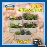ราคา ต้นไม้ปลอม 5 แบบ รวมเซ็ทต้นไม้ปลอม อิเกีย ชุด 3 ต้น ไม้กระถางประดิษฐ์+กระถาง FEJKA เฟคก้า IKEA (15148774250)