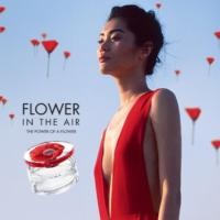 ราคา Kenzo Flower In the Air ขนาด 100 ml (347383613)