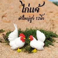 ราคา ไก่แจ้เซรามิค ไก่แจ้มงคล ไก่แจ้แต่งสวน ไก่คู่ 1 ชุด ได้ 2 ตัว 12นิ้ว ตุ๊กตาเซรามิคแต่งสวน ไก่แก้บน (22471743892)