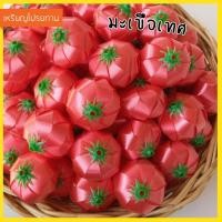 ราคา เหรียญโปรยทาน มะเขือเทศ ตัวเปล่า (20855574001)