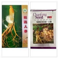 ราคา เมล็ดพันธุ์ โสมคน โสมเกาหลี ( Ginseng , Asian ginseng Seed ) โสม (18563364409)