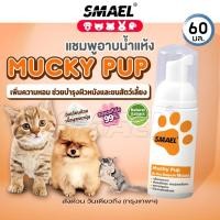 ราคา SMAEL Pet ของแท้!! มูสโฟม แชมพูอาบน้ำแห้ง สำหรับสัตว์เลี้ยง สูตรอ่อนโยน (10532438264)