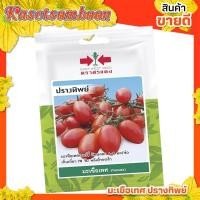 ราคา มะเขือเทศเชอรี่ ปรางทิพย์ ( 10 แถม 1 ) เมล็ดมะเขือเทศ ศรแดง บรรจุ 40 เมล็ด/ซอง ตรา ศรแดง (10400246410)