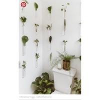 ราคา TestTube_หลอดทดลองพลาสติก15ชิ้น40บาท (12827518488)