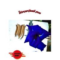 ราคา เมล็ดอัญชัน~50เมล็ดดอกใหญ่กลีบซ้อน5ชั้น+พันธุ์ดีของแท้ (26927023755)