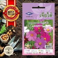 ราคา เมล็ดพันธุ์ ดอกดาวกระจายฝรั่งต้นเตี้ย คละสี (3951515950)