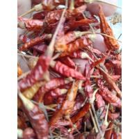 ราคา พริกขี้หนูแห้งเม็ดเล็กจิ๋วแหลม500gm.(ครึ่งโล) (40369690872)