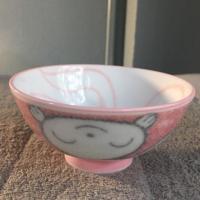 ราคา กระถางญี่ปุ่น มือสอง (6478047323)