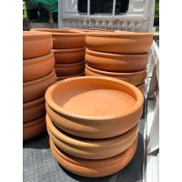 ราคา อ่างขนาด 12 นิ้ว แมวนอนได้ อ่างบัว อ่างน้ำ (21385189493)