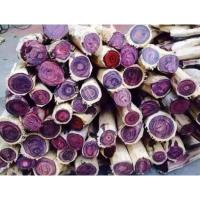 ราคา ต้นพยุง​ไหหลำเพาะ​เมล็ด​ชุด​ละ 3ต้น (9725138917)