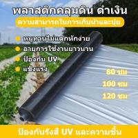 ราคา พลาสติกคลุมดิน 1.2ม.x400หลา(360ม) พลาสติกคลุมแปลง พลาสติกดำ/เงิน พลาสติกกันวัชพืช กันวัชพืช (ไม่เจาะรู) คลุมดิน (41074464958)