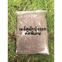 ราคา เมล็ดผักบุ้งคัดพิเศษ ต้นอ่อนผักบุ้ง ไมโครกรีน super food (6332410043)