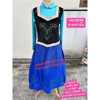 ราคา ชุดเจ้าหญิงอันนาแฟนซีมือสอง (23963321553)