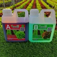 ราคา ปุ๋ยผักไฮโดรโปนิกส์ ปุ๋ย AB ปุ๋ยน้ำสำเร็จรูป สูตรเข้มข้นขนาด 1 ลิตร (15813616185)