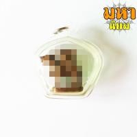 ราคา ม้าเสพนาง ครูบาวัง พรหมเสโน วัดบ้านเด่น จ.ตาก (23605595726)