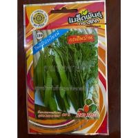 ราคา เมล็ดกระถินบ้าน 10 แถม 1 กระถินบ้าน กระถิน lead tree เมล็ดพันธุ์ผัก (15284907288)