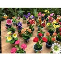 ราคา ต้นไม้จิ๋ว งานจิ๋ว งานน่ารัก ตกแต่งบ้าน ✨✨ (8866910155)