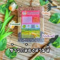 ราคา ข้าวกล้อง ข้าวกล้อง 3สี ข้าวไรซ์​เบอร์รี่​/ข้าวกล้องมันปู/ข้าวกล้องมะลิ (614971141)