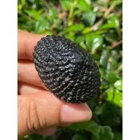 ราคา เบี้ยแก้ เบี้ยแก้หลวงปู่เจือ วัดกลางบางแก้ว เชือกถักเก่าๆลงรักหนาๆ เงาๆ มันๆ ประกันแท้ (21980365340)