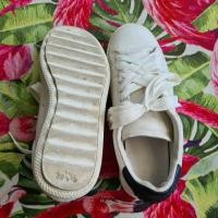 ราคา รองเท้าผ้าใบหนัง Coach สีขาว (4745826228)