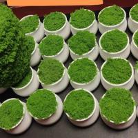 ราคา ✨ ส่งด่วน ไหมพรมขนปะการังสำหรับถักผ้าพันคอ DIY แบบเกาหลี มอสปลอม หญ้าปลอม (53901984185)