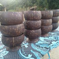 ราคา ชามกะลามะพร้าว กะลามะพร้าว100% (7712637859)