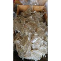 ราคา ☏❦ปลาแป้นแก้ว(หวาน) ไร้ก้าง (3990565458)