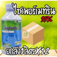 ราคา / ยกลัง12ขวด / ไซเพอร์เมทริน 35% 1ลิตร โมชั่น ไซเพอ ไซเพอร์ ไซเปอ ไซเปอร์ ไซเปอร์เมทริน EC เพลี้ยไฟ เพลี้ยอ่อน แมลงหล่า (25714535104)