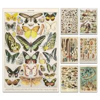 ราคา โปสเตอร์กระดาษคราฟท์รูปผีเสื้อแมลงผึ้งสไตล์วินเทจสําหรับตกแต่งผนัง (15702711682)