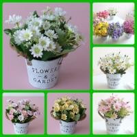 ราคา ดอกเดซี่ พร้อมกระถางสังกะสีวินเทจ สูง 23cm (20791879703)