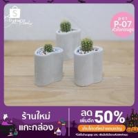 ราคา กระถางปูนซีเมนต์ หัวใจทรงสูง (12823956024)