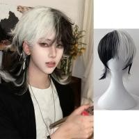 ราคา สีดําสีขาวสั้นผู้ชายวิกผมอะนิเมะคอสเพลย์วิกผมสังเคราะห์ผมหมาป่าหางสไตล์ผมสําหรับผู้หญิงผู้ชายคอสเพลย์พรรควิกผม (29203309899)